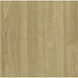 PLASTICA ADES.H45X15MT.ROVERE-10163