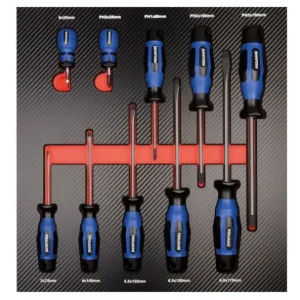 Inserto cacciavite Projahn 10 pezzi 5999-481
