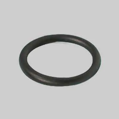 ANELLO O-RING Ø mm 8,9x1,9. Prezzo per Pezzo.