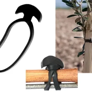 Legacci Ancorette elastiche Bandofix. Prezzo per Confezione.