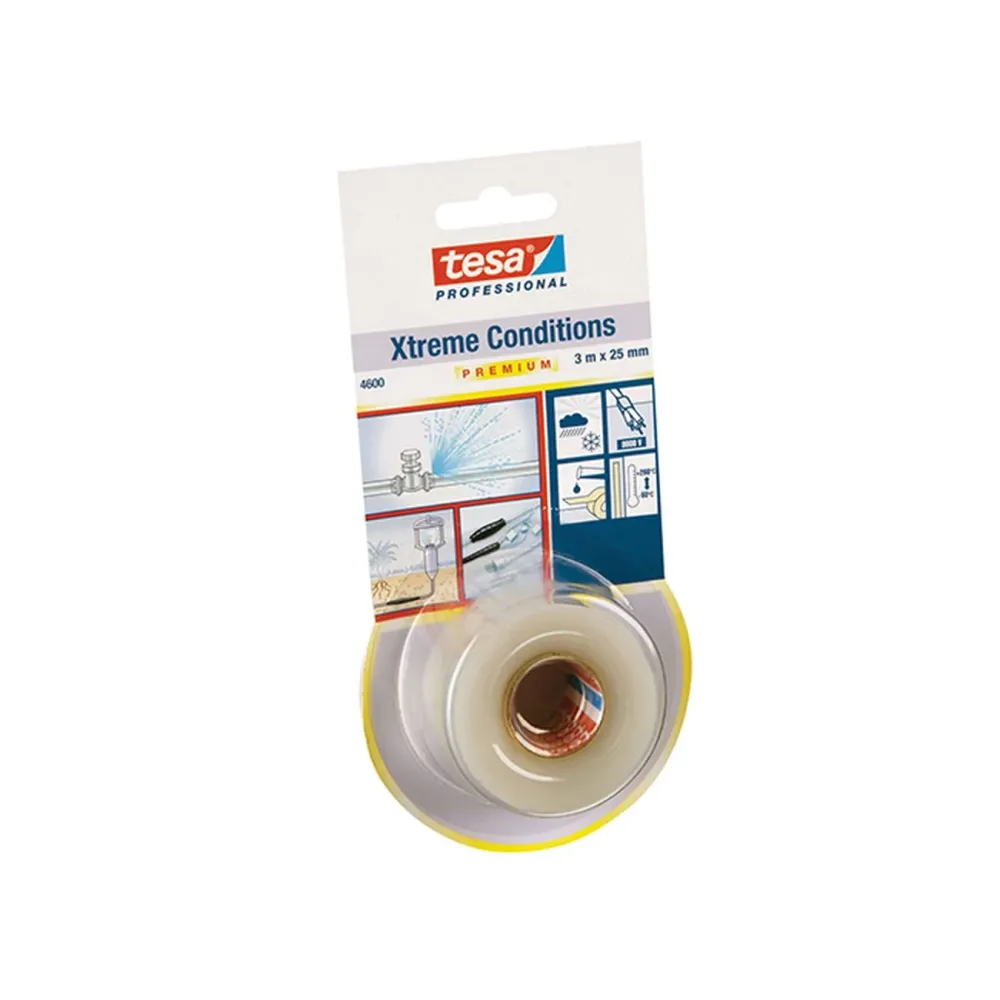 Tesa Nastro Autoagg. Trasparente 3M x 25mm 4600 - Alta Qualità