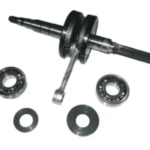 im07061 albero motore imb.compl.cuscin/paraoli sc.peugeot buxy