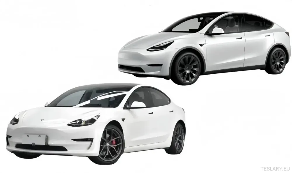 Tesla Model Y/3 Organizer Center Console posteriore (gregge)