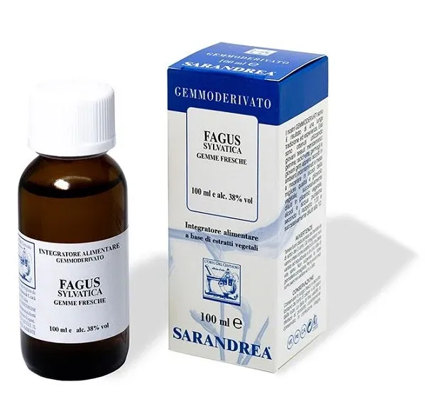 EXTRAGEM Faggio Gemme 20ml