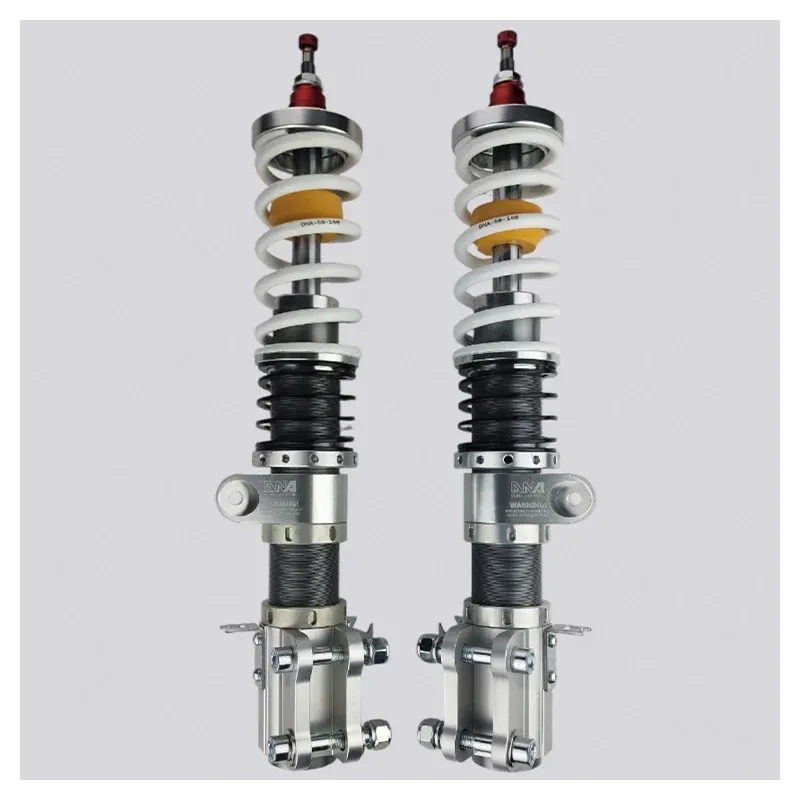 DNA Racing - Ford Fiesta MK8 - Kit ammortizzatori WRS
