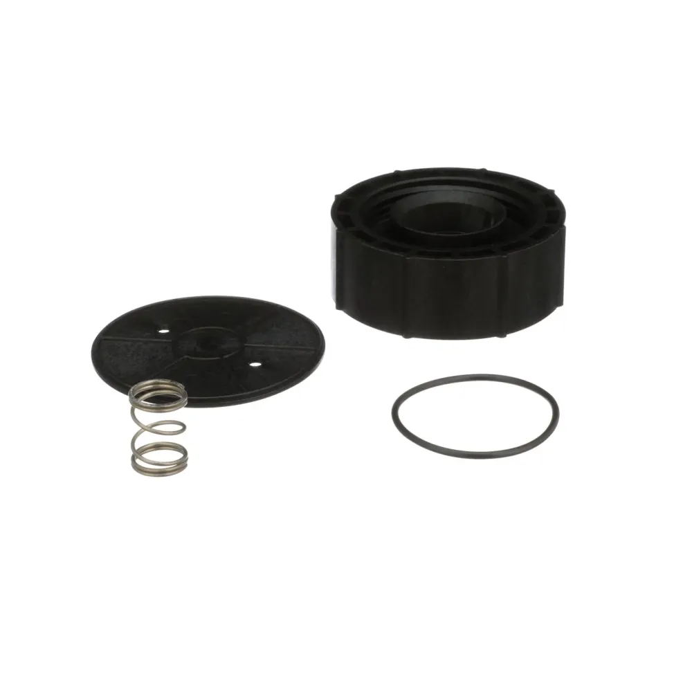 Watts RK 800M4-B 1 1 Pressure Vacuum Breaker Bonnet Assembly Kit 0887701