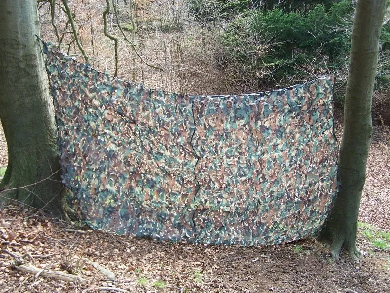 Rete mimetica Berger & Schröter 2x3m 30207 Berger & Schröter