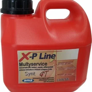 Olio 4t 1l multyservice 10W30
