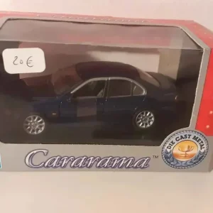 BMW Serie 5 Berlina Blu