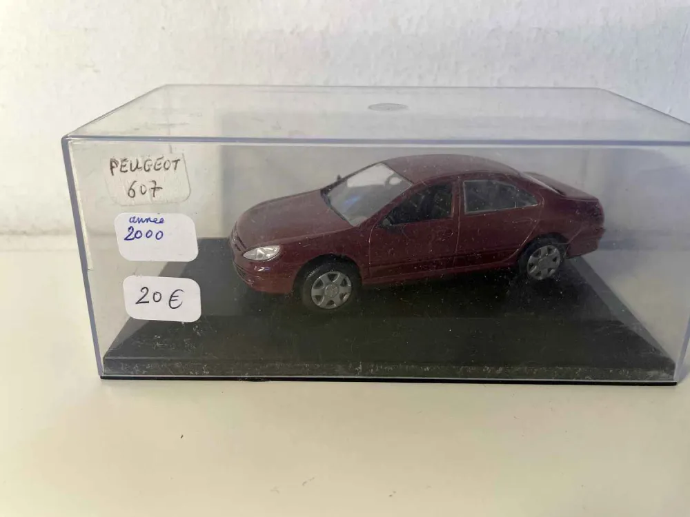 Peugeot 607 Bordeaux del 2000