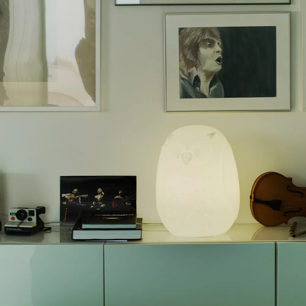 LAMPADA DECORATIVO GUFO 40 | INTERNI