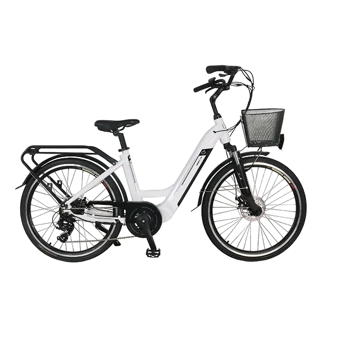 SMART WAY C5 Bicicletta Elettrica | CITY BIKE UNISEX E-bike FAT BIKE | MOTORE 250 W | 36V 10,4Ah | AUTONOMIA 40/45 km | RU...
