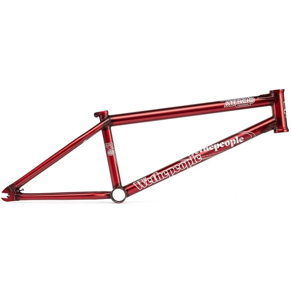 Wethepeople Trigger Frame 20