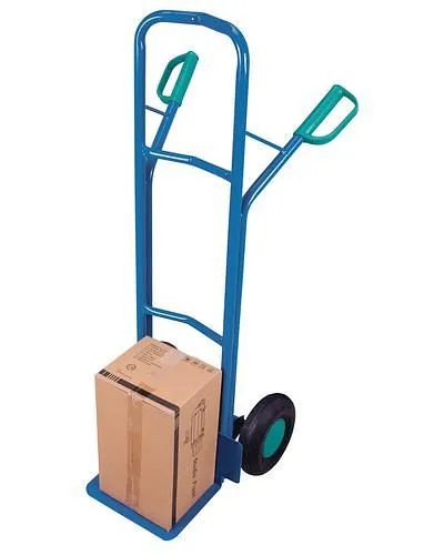 Carrello da trasporto DENIOS DENIOS linea classica acciaio 320 x 250 mm 250 kg 258-207