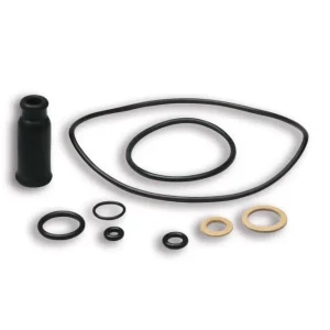 Serie guarnizioni carburatore dellorto PHBL - AS - AD - BS - HS