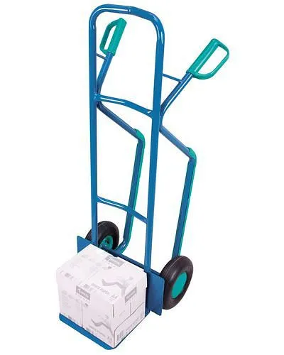 Carrello da trasporto DENIOS DENIOS linea classica acciaio 320 x 250 mm 250 kg pattini 258-204 con Maniglia Regolabile
