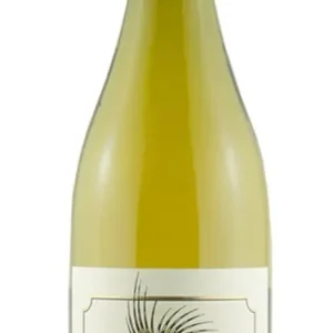 "Poggio della Costa" Grechetto IGT 2020 Mottura Sergio