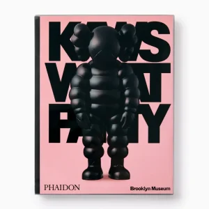 Phaidon KAWS: What Party