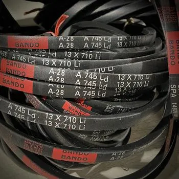 CINGHIA TRAPEZ. C 63" 22x1601