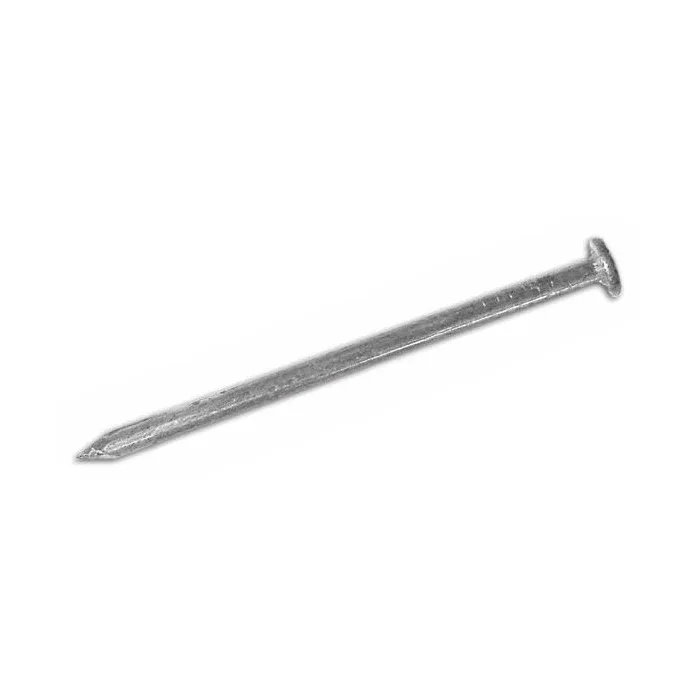 Chiodi Ferro Lucido TP Testa Piana 13x30 mm Cavatorta confezione 5 KG
