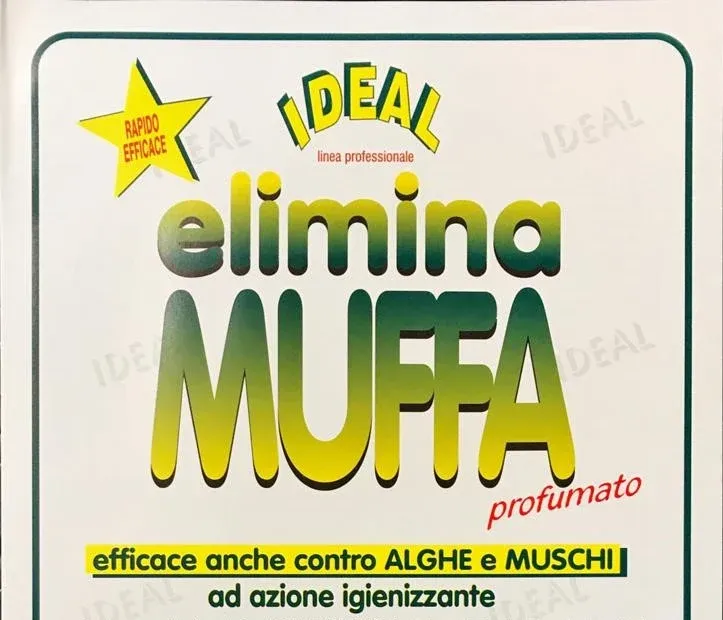 ELIMINA MUFFA SPRAY - BRUCIA LA MUFFE E ALGHE DALLE PARETI, PROFUMATO - 500 ML