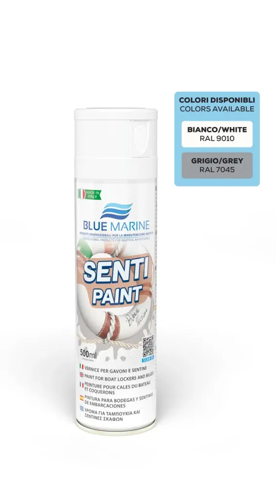Senti Paint spray ral 9010