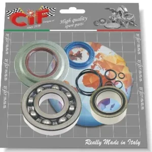 Kit cuscinetti e paraoli albero motore Vespa PE PX ARCOBALENO 125 150 200