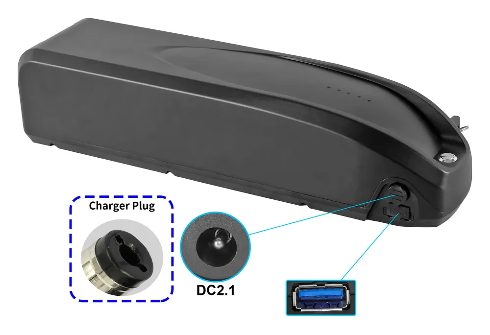 Batteria sostitutiva PowerSmart Downtube ZZ98 per BLAUPUNKT Greenway ZZ981004 - identica all'articolo Prophete n. 326