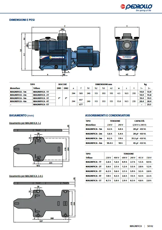 Elettropompa per piscine MAGNIFICA 1m Pedrollo on Sale con Luce LED