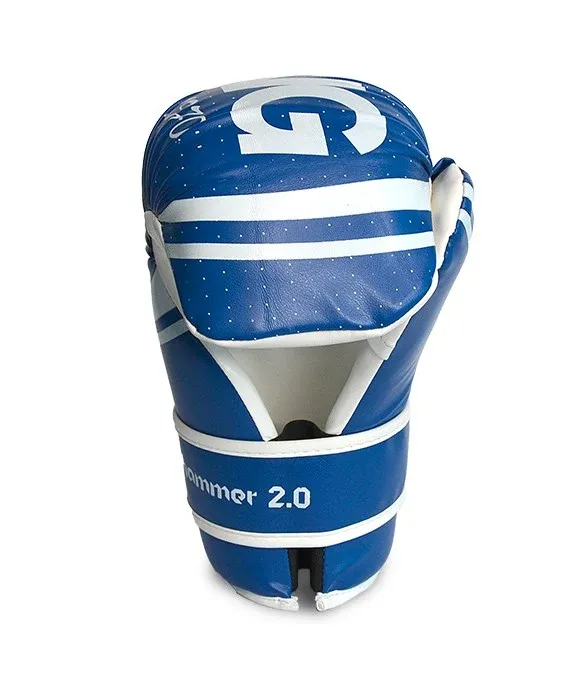 Guanti Point Fighting Top Ring Hammer 2.0 Blu