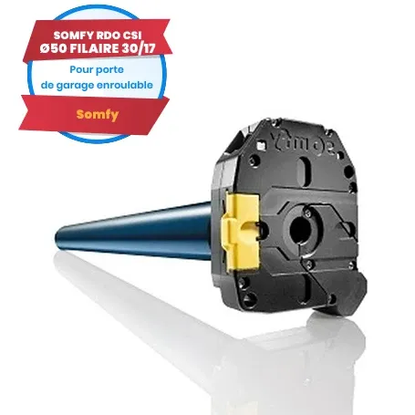 Motore cablato Somfy LT50 RDO CSI 30/17