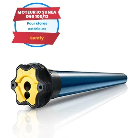 Motore cablato Somfy LT60 RDO CSI 100/12
