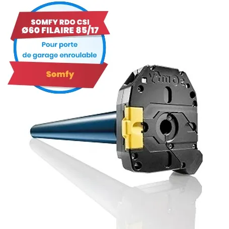 Motore cablato Somfy LT60 RDO CSI 85/17