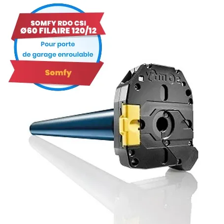 Motore cablato Somfy LT60 RDO CSI 120/12