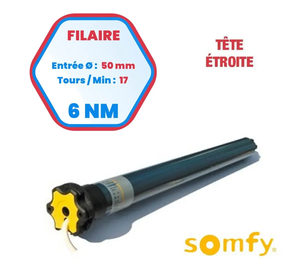 Motore Somfy Ilmo 6 Nm TH