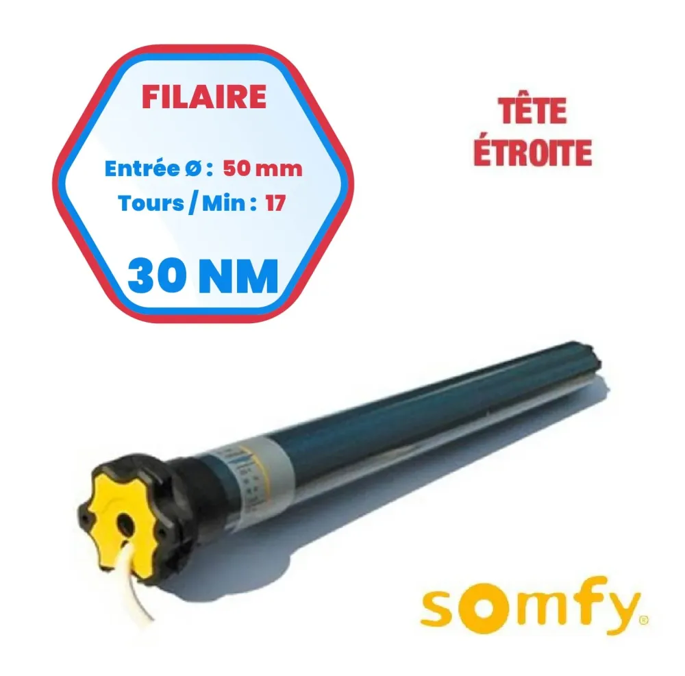 Motore Somfy Ilmo 50 WT 30/17 TH