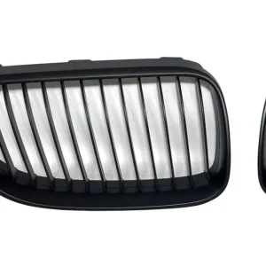 Griglia BMW Serie 3 E90 / E91 LCI