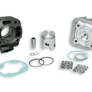 3113865 gruppo termico malossi 50cc d.40 benelli pepe lx 50 2t euro 2 (qj1e40qmb-4) ghisa sp.12