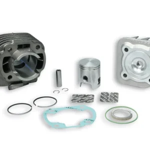 318562 gruppo termico malossi sport 50cc d.40 minarelli orizzontale ac aria sp.10 ghisa