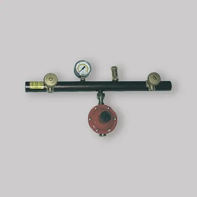 Centralina 2 Attacchi Completa Di Regolatore 4 Kg/H