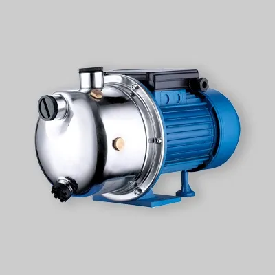 Elettropompa Autodescante Inox Js 100