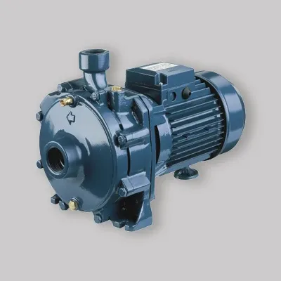 Elettropompa Centrifuga Bigirante Ghisa Cda 2.00 M