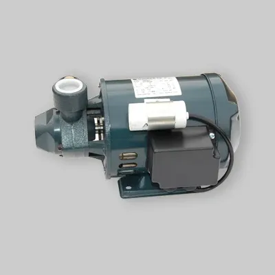 Elettropompa Di Superficie Periferica Pm 21 Kw 0,37