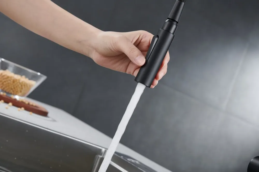 Imex - Rubinetto da cucina Berna nero opaco