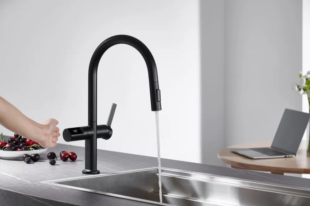 Imex - Rubinetto da cucina Torino con bocca estraibile nero opaco