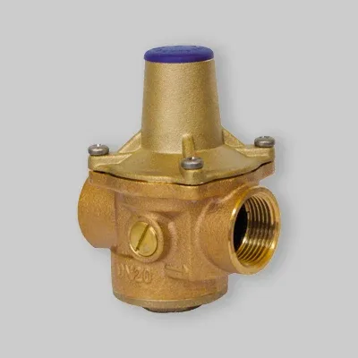 Riduttore Di Pressione Tipo Junior Desbordes 7 Bis 2" Dn 50