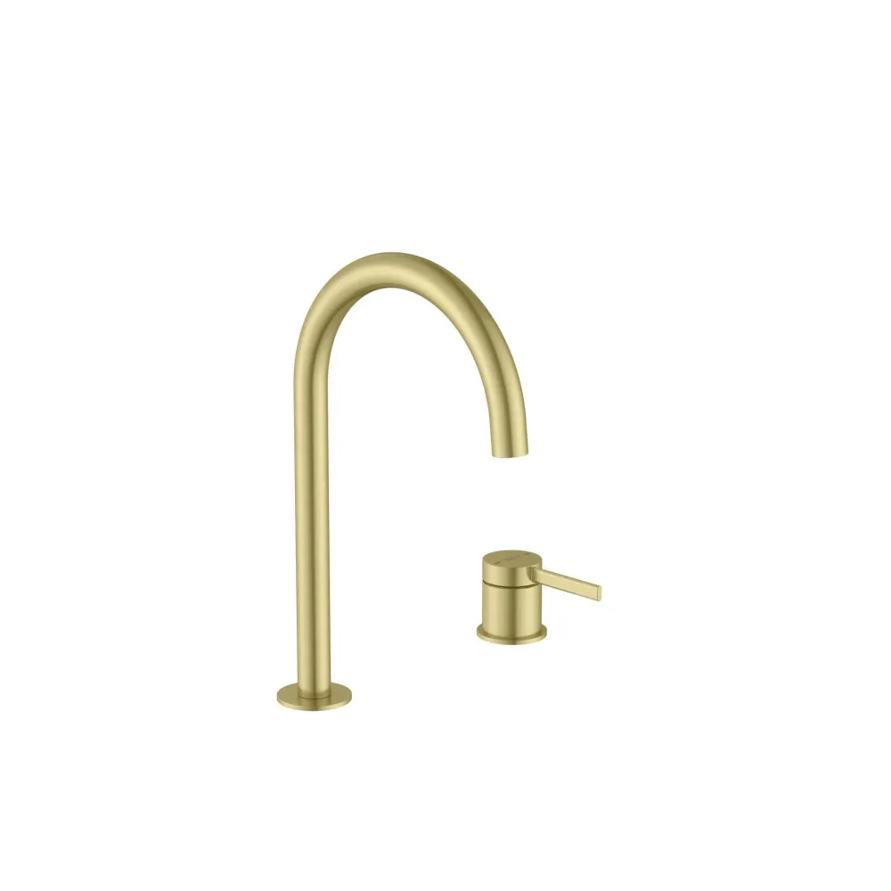 Roca - Rubinetteria monocomando per lavabo oro spazzolato A5A389EVA0
