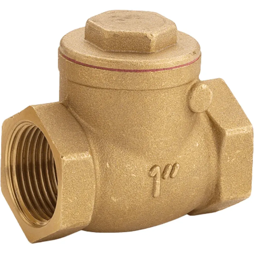 Valvola Clapet F/F Ottone Sede Gomma 2"1/2