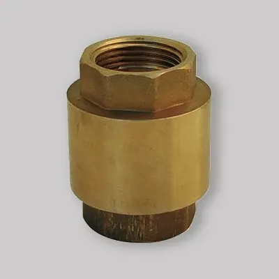 Valvola Di Ritegno Molla Con Inserto Ottone 2"
