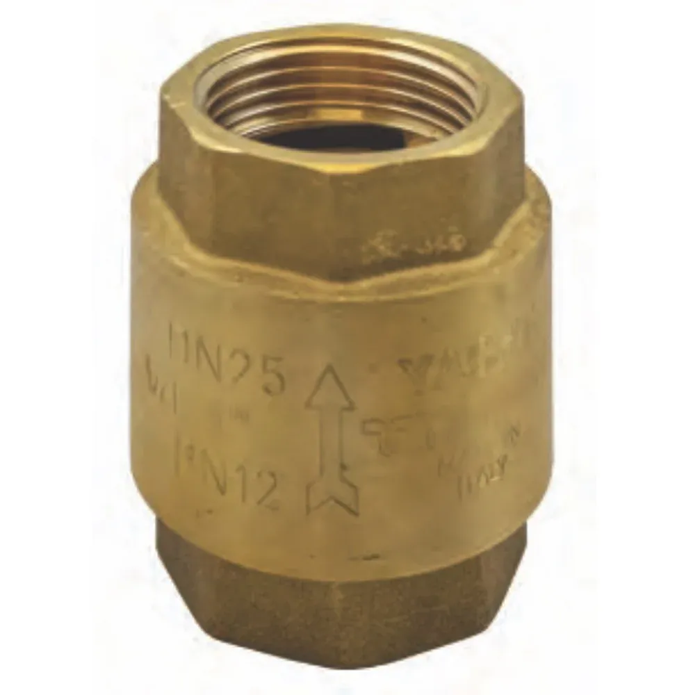 Valvola Di Ritegno Molla Con Inserto Pvc 1"1/2